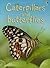 Caterpillars and Butterflies
