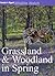 Grassland & Woodland in Spring