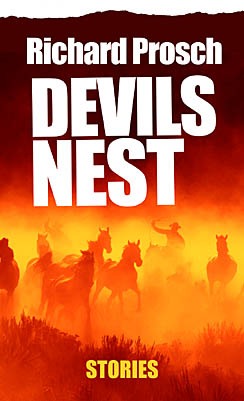 Devils Nest (Kindle Edition)