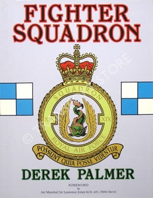 Fighter squadron (Hardcover)