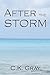After the Storm (Eye of the Storm, #2)