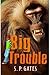 Big Trouble