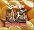 Spanje : Een culinaire ontd...