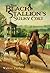 The Black Stallion's Sulky Colt (Black Stallion Series, Book 10)