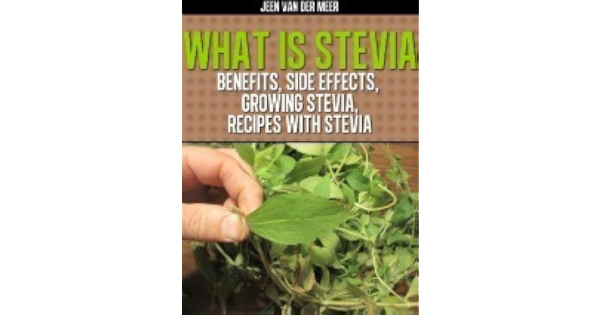 What is Stevia Benefits Side Effects Growing Stevia Recipes by Jeen