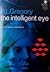 The Intelligent Eye