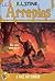 A Face Do Terror (Arrepios, #19) by R.L. Stine