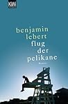 Flug der Pelikane by Benjamin Lebert