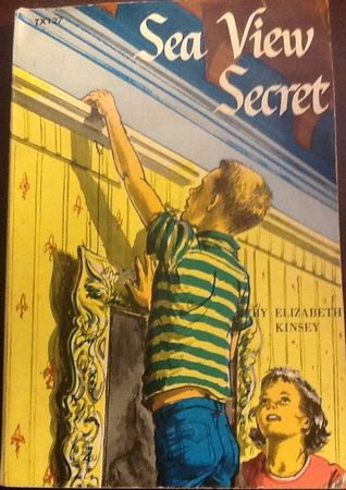 Sea View Secret (Paperback)