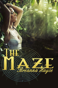 The Maze (Kindle Edition)