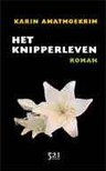 Het knipperleven