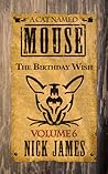 The Birthday Wish (A Cat Named Mouse, #6)