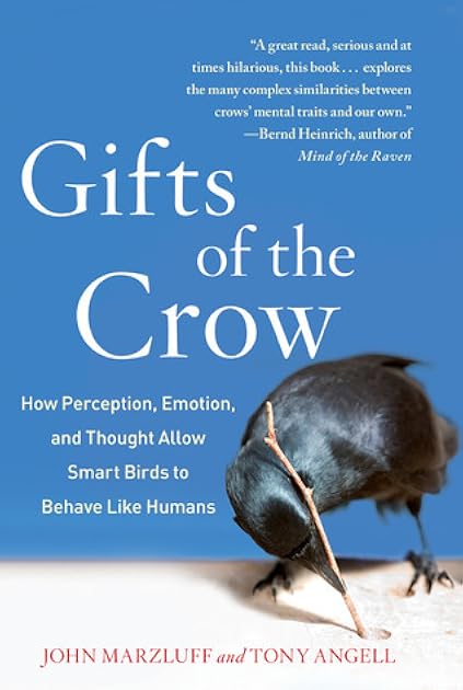Gifts of the Crow: How Perception, Emotion, and Thought Allow Smart Birds to Behave Like Humans