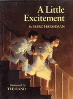 A Little Excitement (Hardcover)