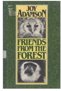 Friends from the Forest