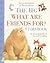The Big What are Friends For? Storybook by Sally Grindley~Penny Dann