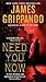 Need You Now: A Provocative Conspiracy Thriller of Wall Street and Washington Power (Andie Henning)