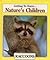Raccoons / Owls (Getting to...
