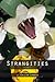 Strangities: Volume I