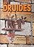 Les Druides : L'époque moderne et contemporaine (1493 - 2001)