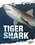 Tiger Shark