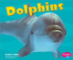Dolphins