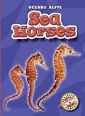 Sea Horses