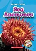 Sea Anemones