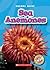 Sea Anemones (Blastoff! Readers: Oceans Alive)