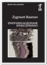 Zindywidualizowan...