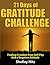 21 Days of Gratitude Challenge by Shelley Hitz
