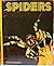 Spiders by Lillian Bason