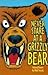 Never Stare at a Grizzly Bear (Animal Poems)