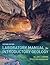 Laboratory Manual for Introductory Geology (Second Edition)