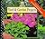 Yard & Garden Projects by Time-Life Books