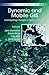 Dynamic and Mobile GIS (Innovations in GIS)