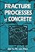 Fracture Processes of Concrete: Assessment of Material Parameters for Fracture Models (New Directions in Civil Engineering)