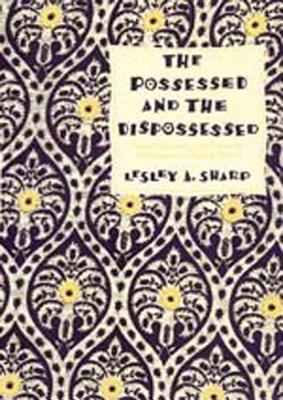 The Possessed and the Dispossessed: Spirits, Identity, and Power in a Madagascar Migrant Town (Comparative Studies of Health Systems and Medical Care) (Volume 37)