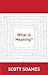 What Is Meaning? (Soochow University Lectures in Philosophy)