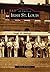 Irish St. Louis by David A. Lossos
