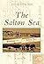 The Salton Sea by Karl Anderson