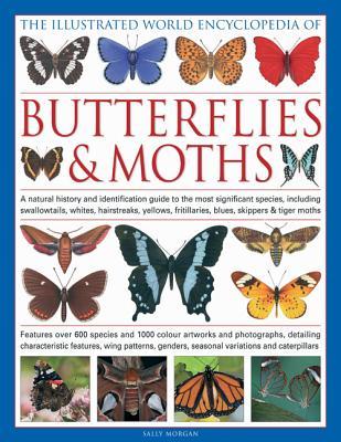 The Illustrated World Encyclopedia of Butterflies and Moths: A Natural History and Identification Guide (Hardcover)