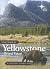 Your Guide to Yellowstone a...