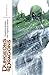 Dungeons & Dragons: Forgotten Realms - Legends of Drizzt Omnibus Volume 2 (D&D Legends of Drizzt Omnibus)