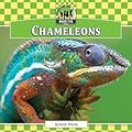 Chameleons