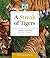 Streak of Tigers: Animal Groups in the Jungle