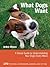 What Dogs Want: A Visual Guide to Understanding Your Dog's Every Move