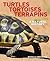 Turtles, Tortoises and Terr...
