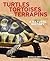 Turtles, Tortoises and Terrapins by Ronald Orenstein