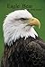 Eagle Bear